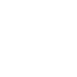 Interfactura
